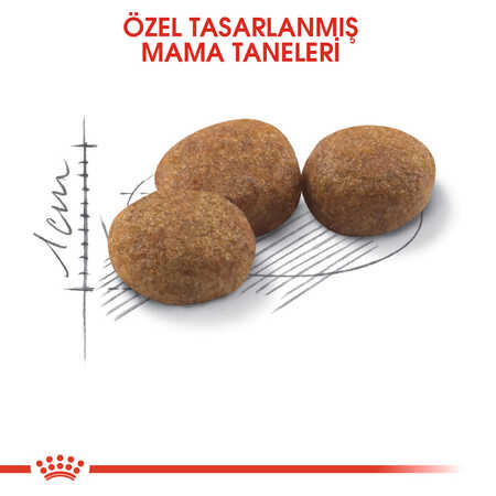 Royal Canin Sterilised 37 Kısırlaştırılmış Yetişkin Kedi Maması 10kg - Thumbnail