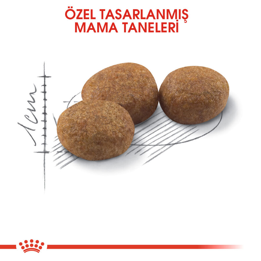 Royal Canin Sterilised 37 Kısırlaştırılmış Yetişkin Kedi Maması 10kg