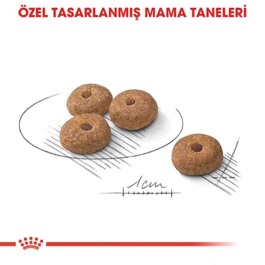 Royal Canin Sterilised Mini Kısırlaştırılmış Küçük Irk Köpek Maması 3kg
