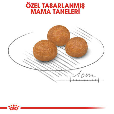 Royal Canin XSmall Küçük Irk Yetişkin Köpek Maması 1,5kg - Thumbnail