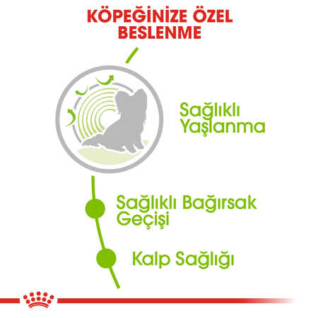 Royal Canin Xsmall Ageing +12 Küçük Irk Yaşlı Köpek Maması 1,5kg - Thumbnail