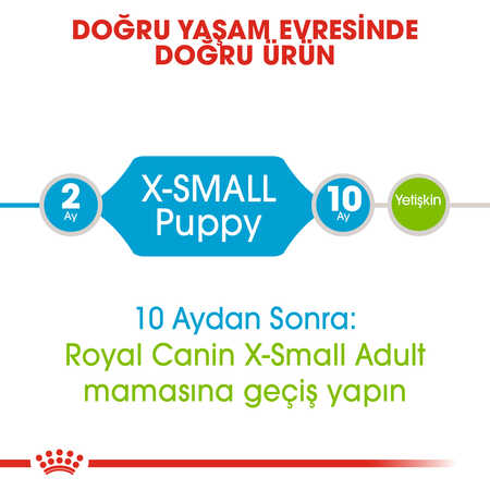 Royal Canin Xsmall Puppy Küçük Irk Yavru Köpek Maması 1,5kg - Thumbnail