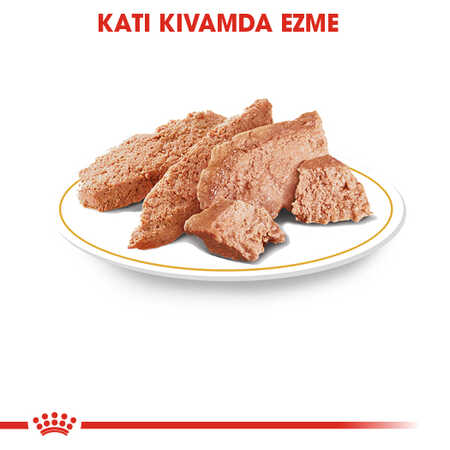 Royal Canin Yorkshire Terrier Yetişkin Köpek Konservesi 85gr - Thumbnail