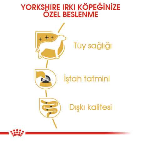 Royal Canin Yorkshire Terrier Adult Köpek Konservesi 85gr - Thumbnail