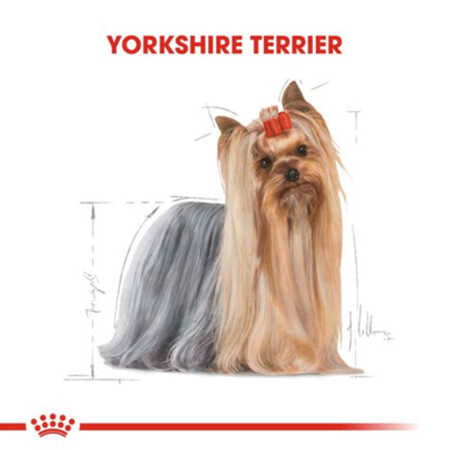 Royal Canin Yorkshire Terrier Yetişkin Köpek Maması 1,5kg - Thumbnail