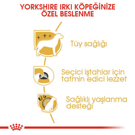 Royal Canin Yorkshire Terrier Yetişkin Köpek Maması 1,5kg - Thumbnail