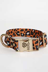 TAİLOR - Tailor Klasik Leo Köpek Boyun Tasması XSmall
