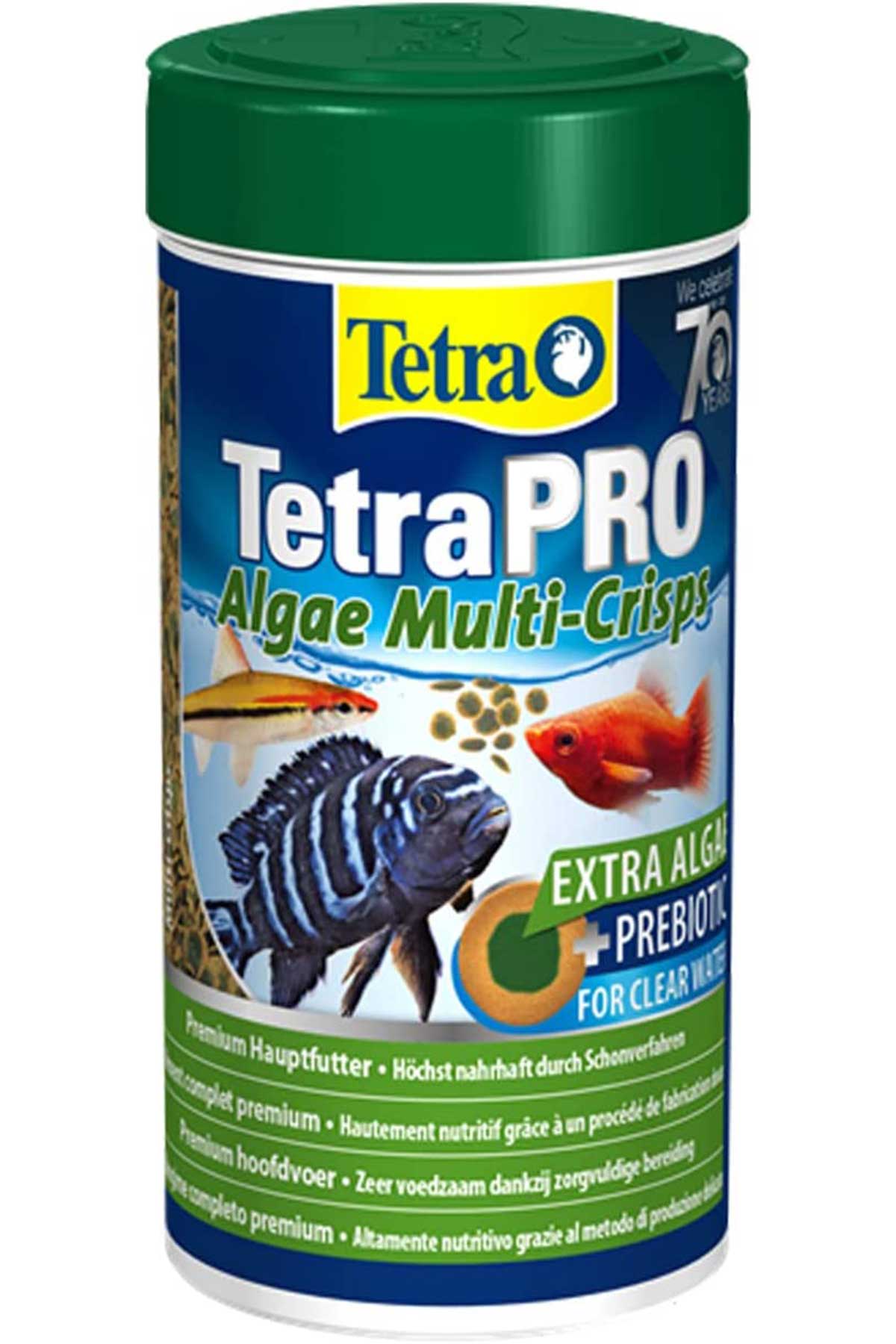 Tetra Pro Algae Crisps Yem 250ml