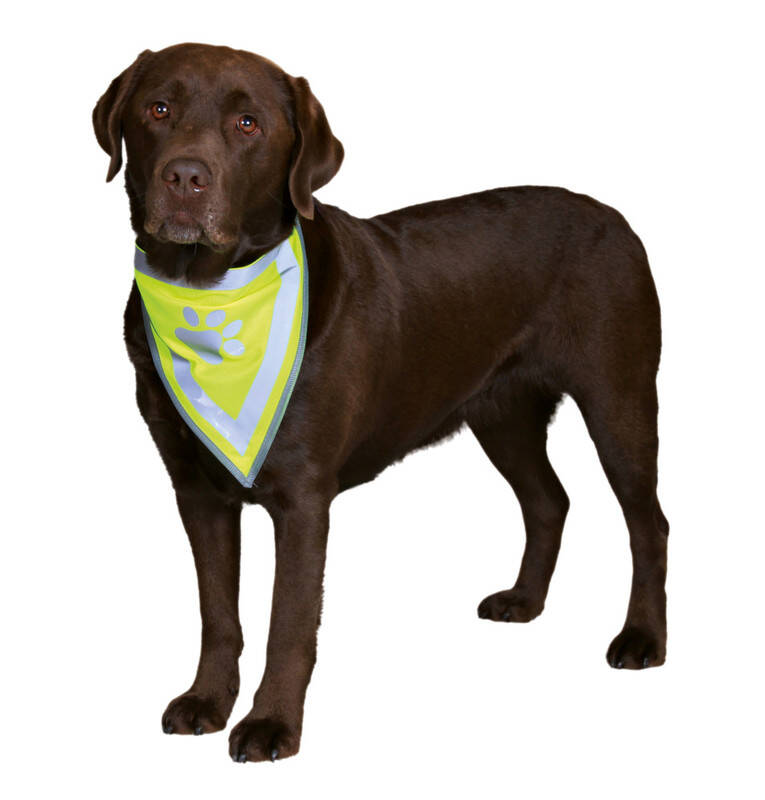 Trixie Köpek Bandanası 42-60cm (L/XL)