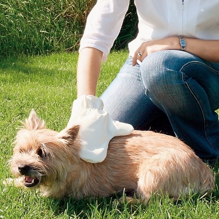 Trixie Köpek ve Kediler için Tarama Ve Masaj Eldiveni 14X25cm - Thumbnail