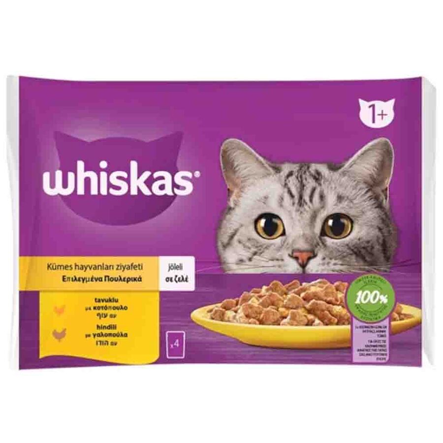 Whiskas Pouch Jöle İçinde Tavuklu ve Hindili Yetişkin Kedi Konservesi 85gr (4lü)