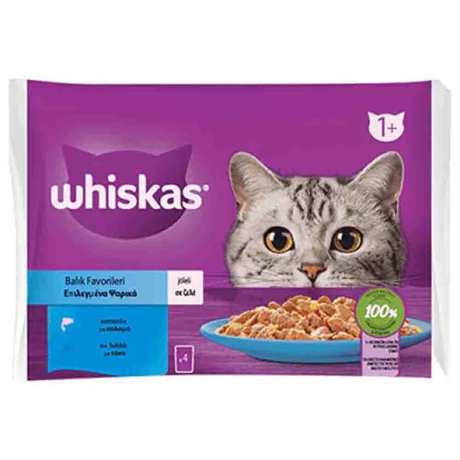 Whiskas Pouch Somonlu ve Ton Balıklı Yetişkin Kedi Konservesi 85gr (4lü)